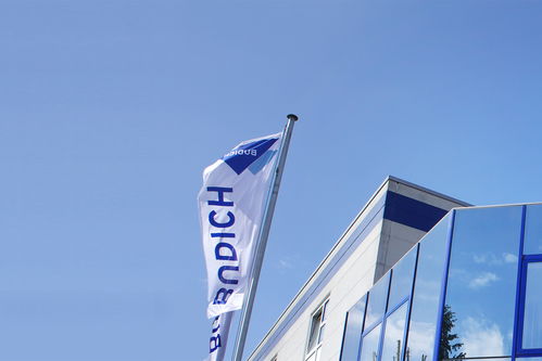 鮮切生菜如何預防大腸桿菌及沙門氏菌污染 從農田到餐桌的安全指南