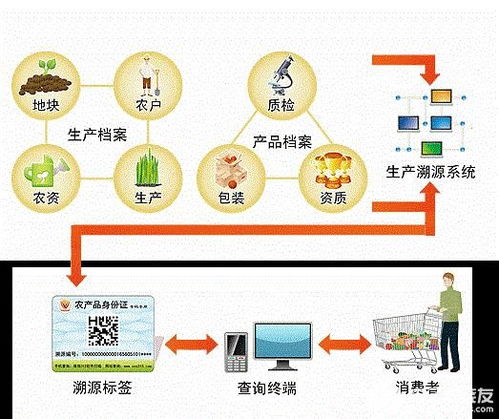 構(gòu)建基于農(nóng)業(yè)物聯(lián)網(wǎng)的食品安全溯源系統(tǒng) 技術(shù)方案與服務(wù)模式